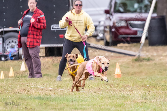 Finals Vet Libby Xena-2486