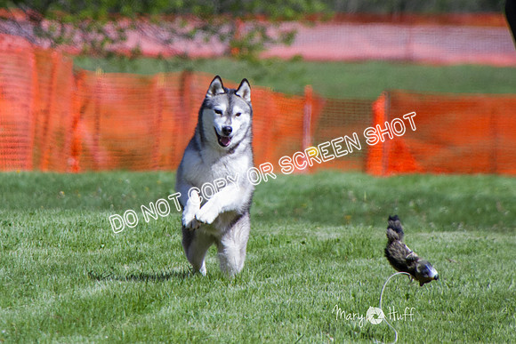 IMG_0777