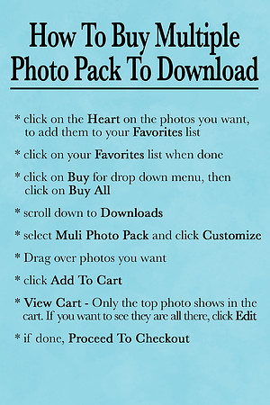 2 Multi Download Photo Packs