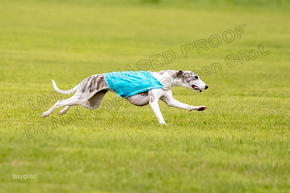 Prelims Misty-0626