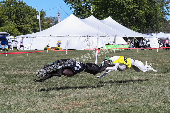 Prg 3, Race 4, Cherry Pie Ruffian Grim Nami Tipa Sprig-9630