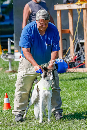 Silken Windhound Prelim, Finnegan-2940