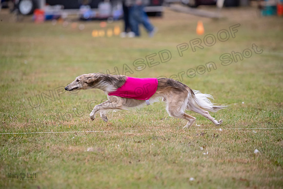 Finals Open Ripley Spiff-2686