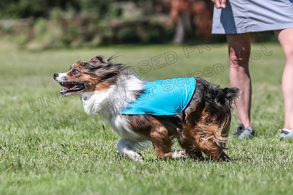 AE4I7021