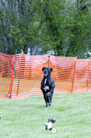 IMG_0719
