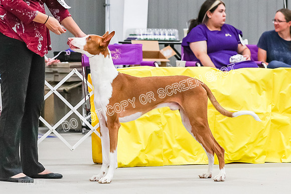 AE4I6113