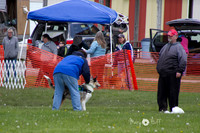 IMG_1270