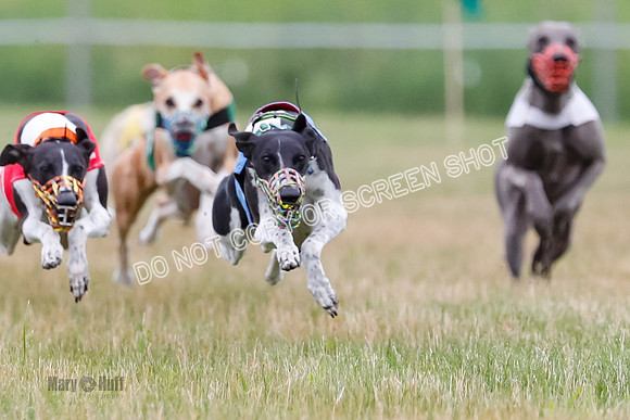 Prg 3, Race 2, Chuck-Tusi-Smokey-Raz-Angel-Nathalia-1051