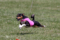 6N1A3996