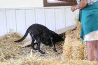 HO4A7858