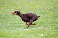 IMG_1291
