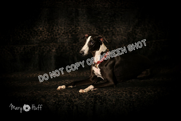 HO4A1780-Edit