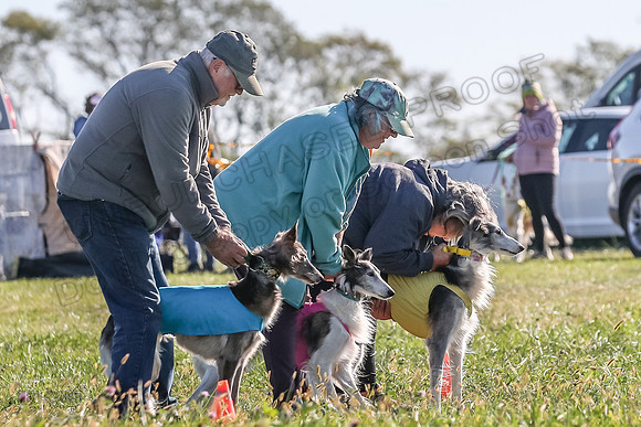 1 Prelims Fch 1 Kelso Wiings Foxy-5518