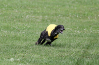 FCH Whippet B FINAL