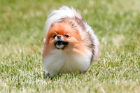 _E4I5544