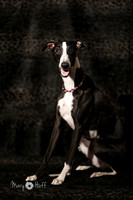 HO4A1693-Edit