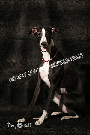 HO4A1693-Edit