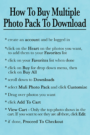 2 Multi Download Photo Packs