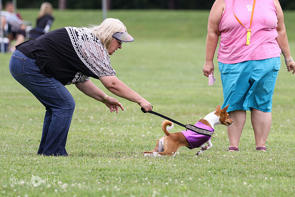 6N1A2043
