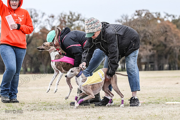 Finals Open 4 Rigel Trixie-4088