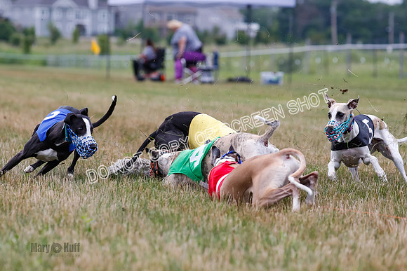 Prg 3, Race 4, Rowan-Jett-Blaze-Shimmy-Bogie-1147