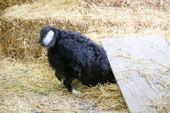 HO4A8909