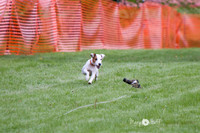 IMG_0745