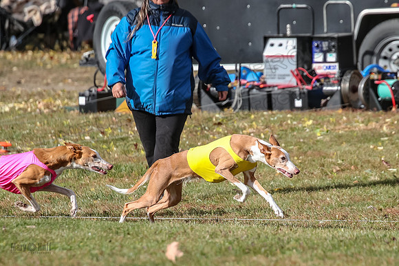 1 Prelims Unknown-6043