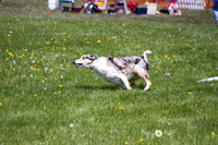 IMG_1272