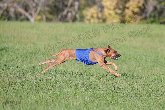 1 Prelims Open 1 Kinky Ash Zanna-4447