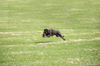 HO4A6256large