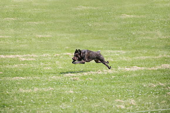 HO4A6256large