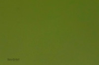 Cat Test 2-1557