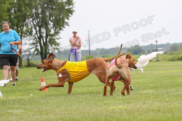 Finals Ripley Lily-2-13