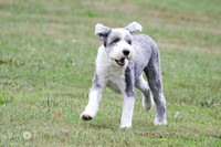 6N1A8482