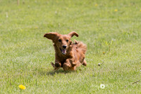 McNamara