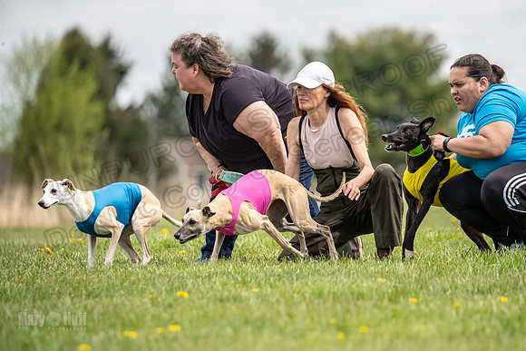 Finals Vet 1 Ocho Justice Raya-9634