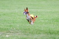 6N1A2392