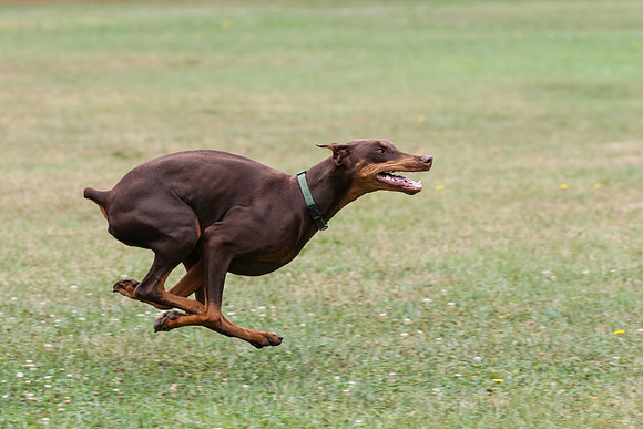 6N1A5266