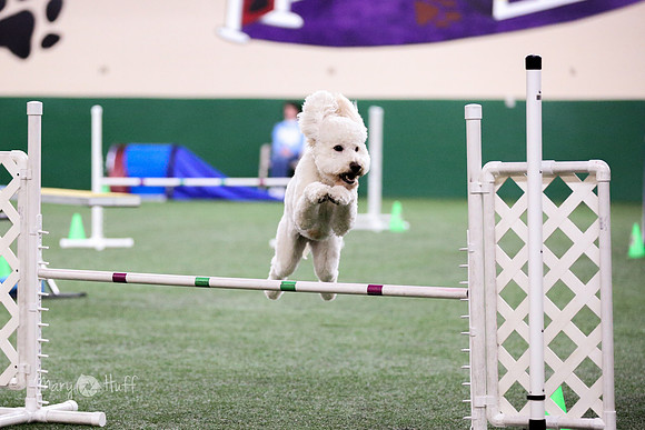 HO4A1533