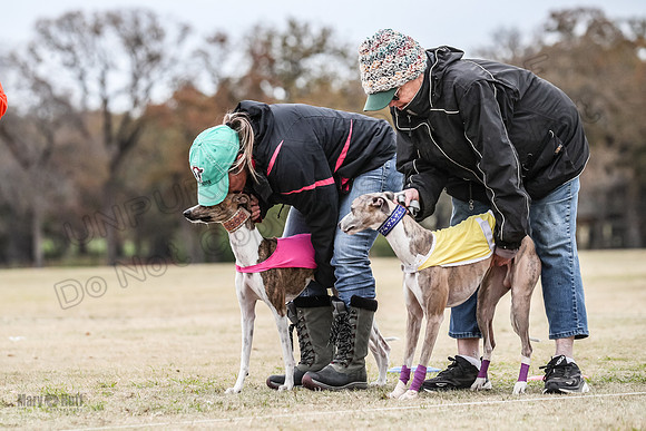 Finals Open 4 Rigel Trixie-4083