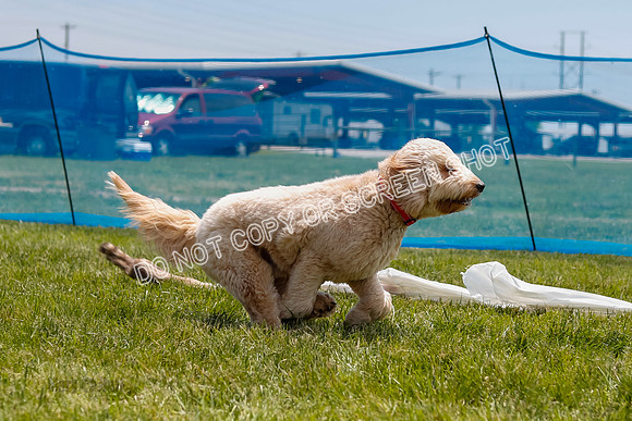 _E4I2981