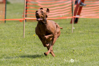 HO4A4408