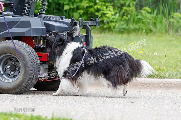 L3 Vehicle-7416