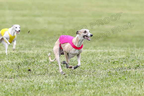 Finals Open C5, Mizuno Charlie Arlo-0792