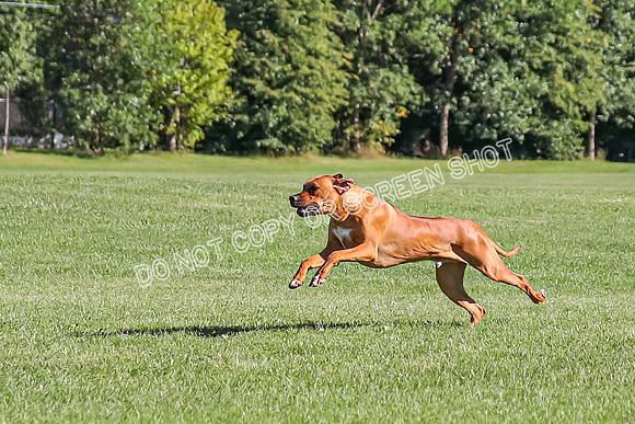 AE4I6697