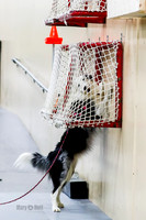 Elite-5562