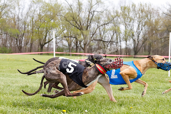 WRA, Prg 4, Race 4, Victor Picanha Stormy Terra Smudge-9338