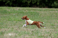 6N1A1888
