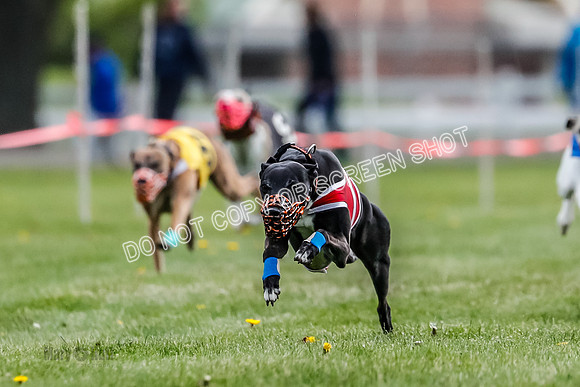 WRA, Prg 1, Race 5, Henry Eddie Deal Moki Feather Hit-8325